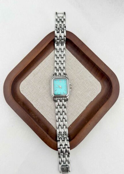 Steel Women's Watch // SAAT-564