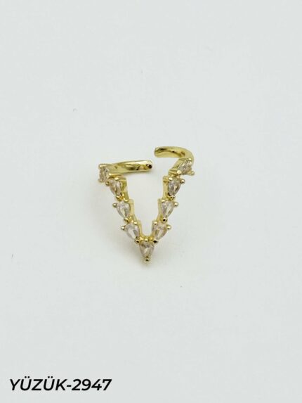 Steel Ring (Adjustable) // YUZUK-2947