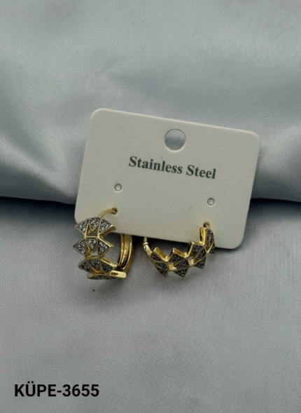 Steel Earrings // Earrings-3655