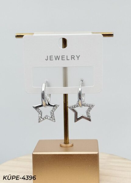 Steel Earrings // Earrings-4396