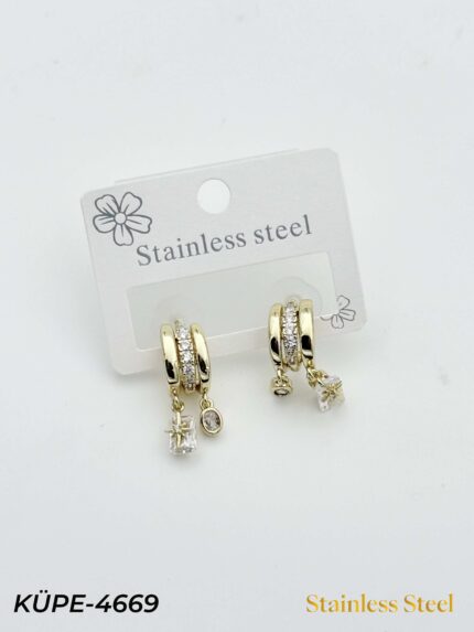 Steel Earrings // Earrings-4669