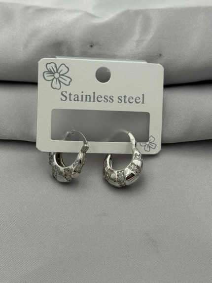Steel Earrings