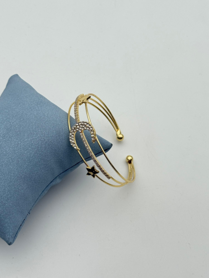 Steel Premium Bangle // KELEPCE-4183
