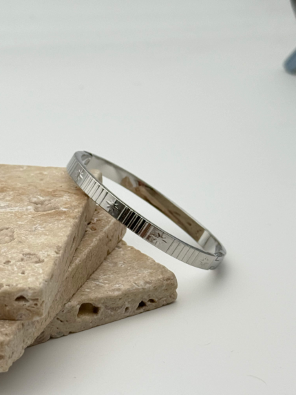 Steel Premium Bangle // KELEPCE-4310