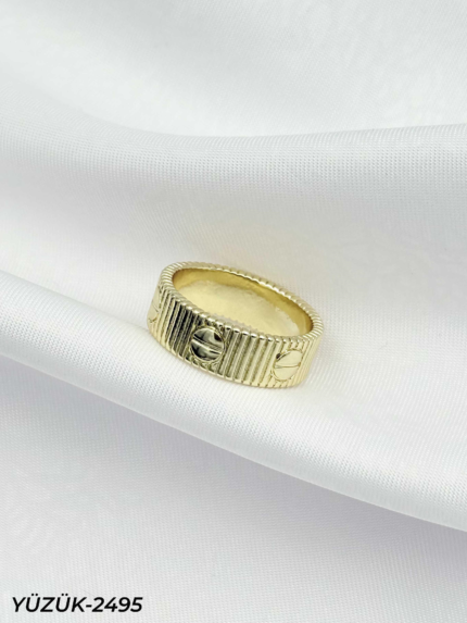 Steel Ring (No. 6) // Ring-2495